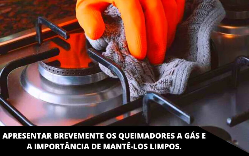 Apresentar brevemente os queimadores a gás e a importância de mantê-los limpos